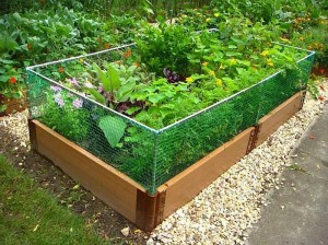 700_raised-garden-bed-rabbit-fence-jpeg