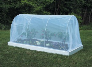 RB cold frame 4