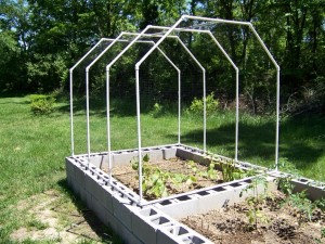 RB cold frame 6