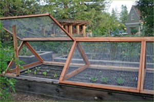 Screens for raised beds