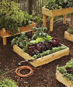 spaced_great-raised-vegetable-garden-beds