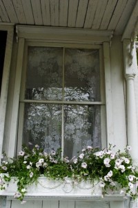 Shabby Chic window box