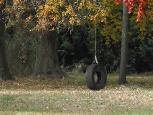 tire swing 1