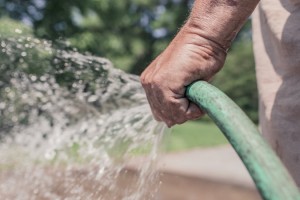 Water hose - Free image