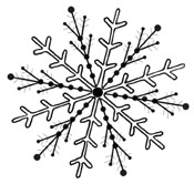 snowflake 1